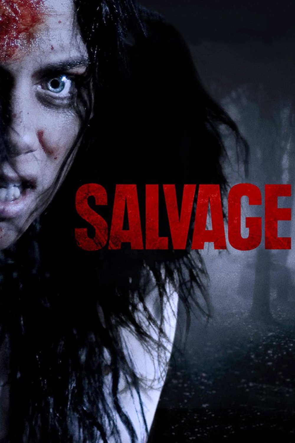 Постер Salvage